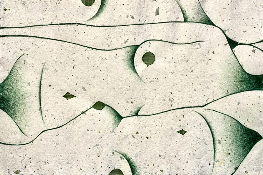 Ampalaya, 2023 Vietnamese handmade melon leaf paper, colored pencil, banana leaves 18” x 24”