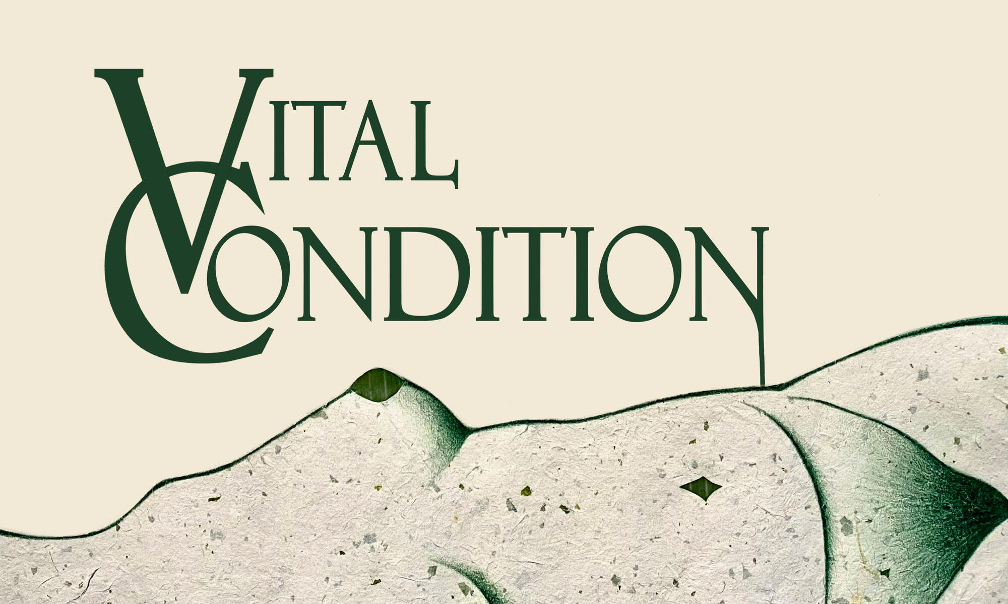 illustrated vital condition graphic 2024